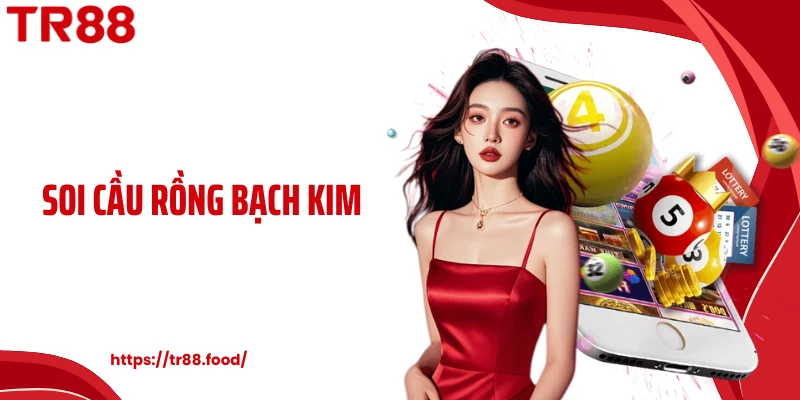 Soi Cầu Rồng Bạch Kim - Nền Tảng Phân Tích Số Theo Chu Kỳ